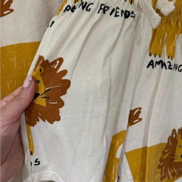 Zara Lion Amazing Friends Set 4T - Picture 6 of 8